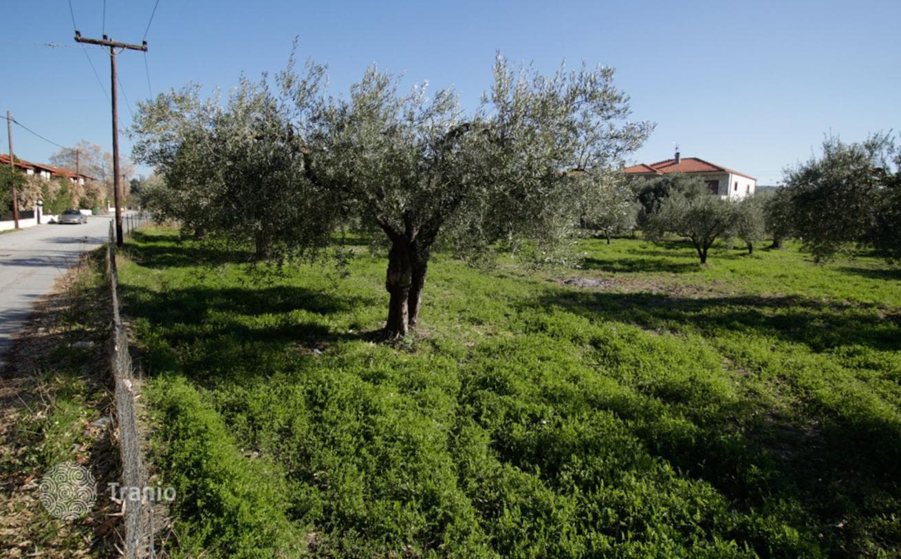 2,800 m² Beachfront Land Plot with Sea and Mountain Views in Kassandra, Halkidiki, photo 5