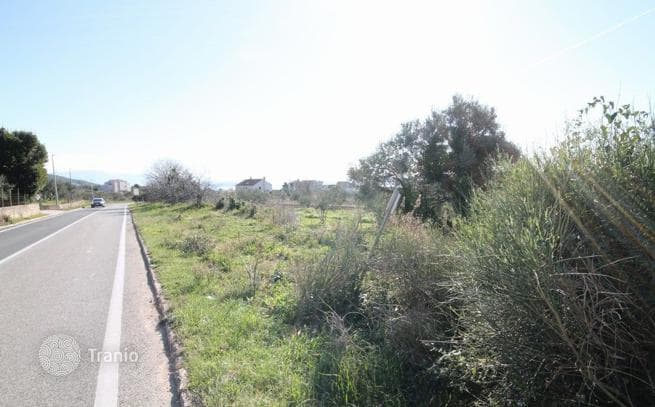 Farm in Kastela, Dalmatia, photo 5