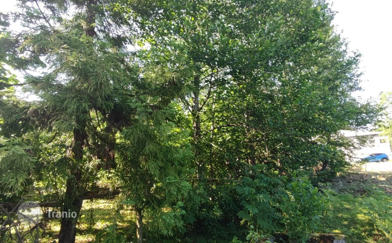 Land Plot near River in Chakvi, photo 2