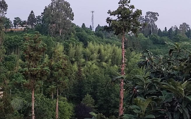 Land Plot with Sea and Mountain Views in Tskhisudziri, Adjara, photo 4