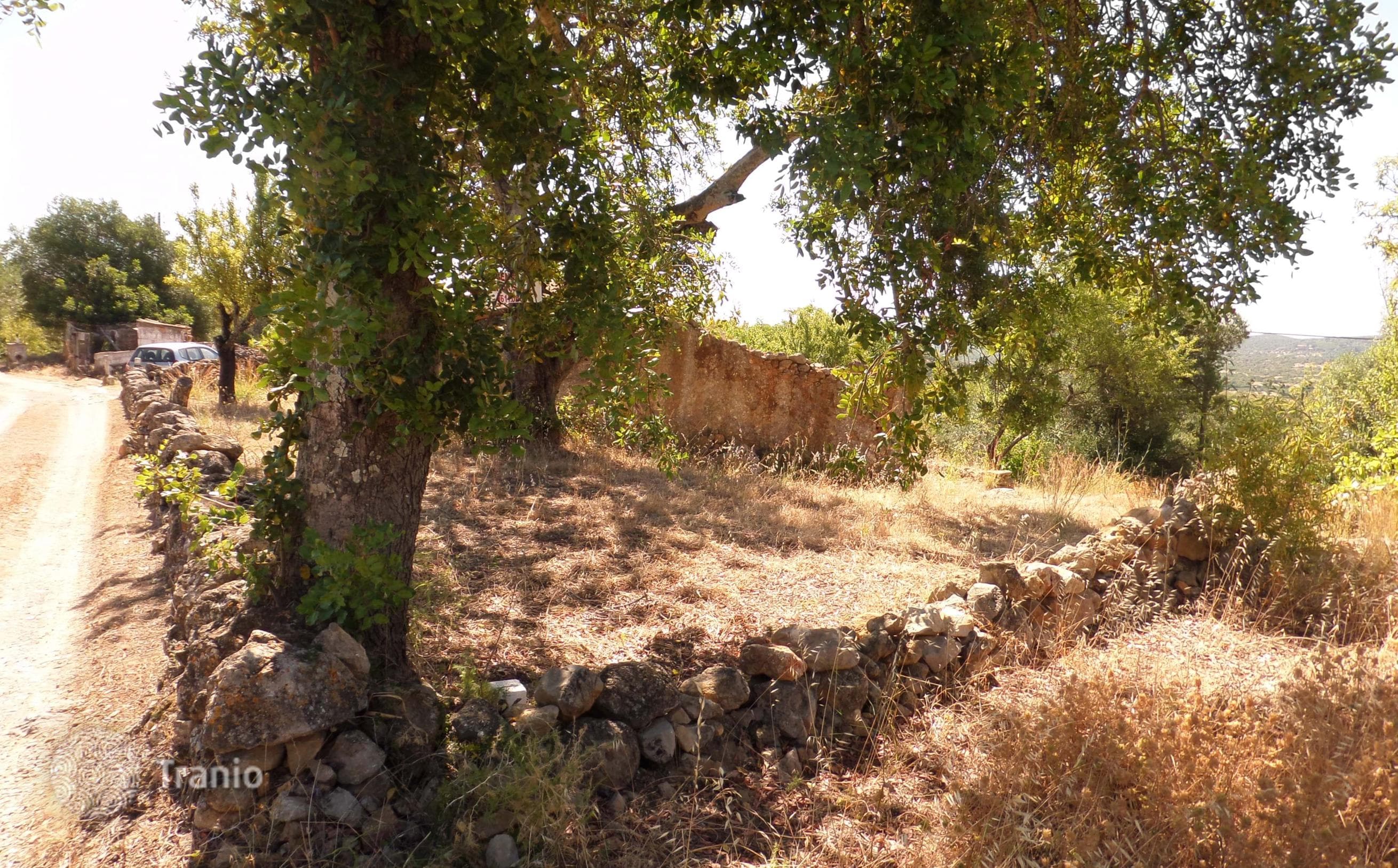 Land Plot in São Brás de Alportel
