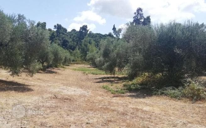 Land Plot with Sea and Mountain Views in Kassandra, Greece, photo 4
