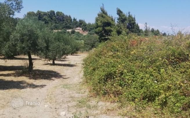 Land Plot with Sea and Mountain Views in Kassandra, Greece