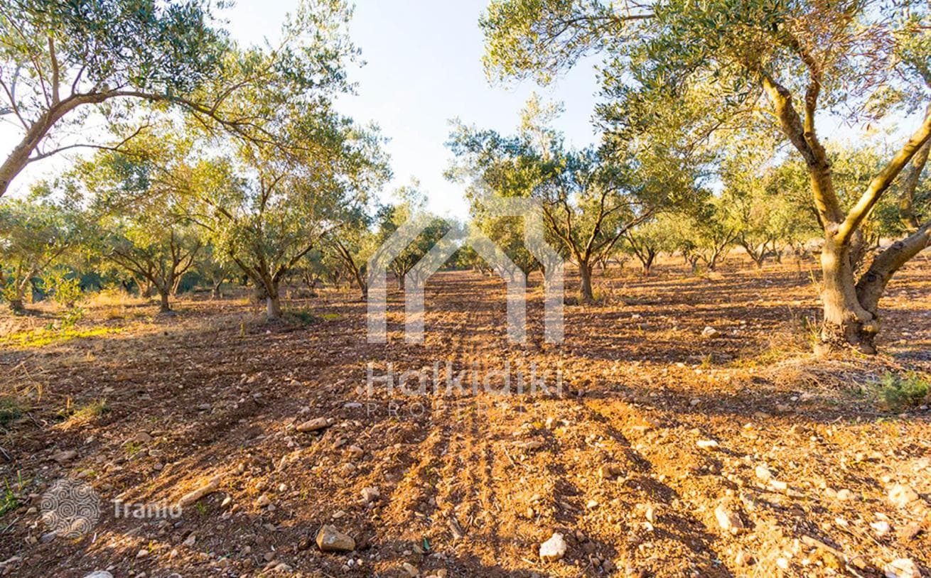 Land Plot with Sea View in Sitonia, Greece, photo 2