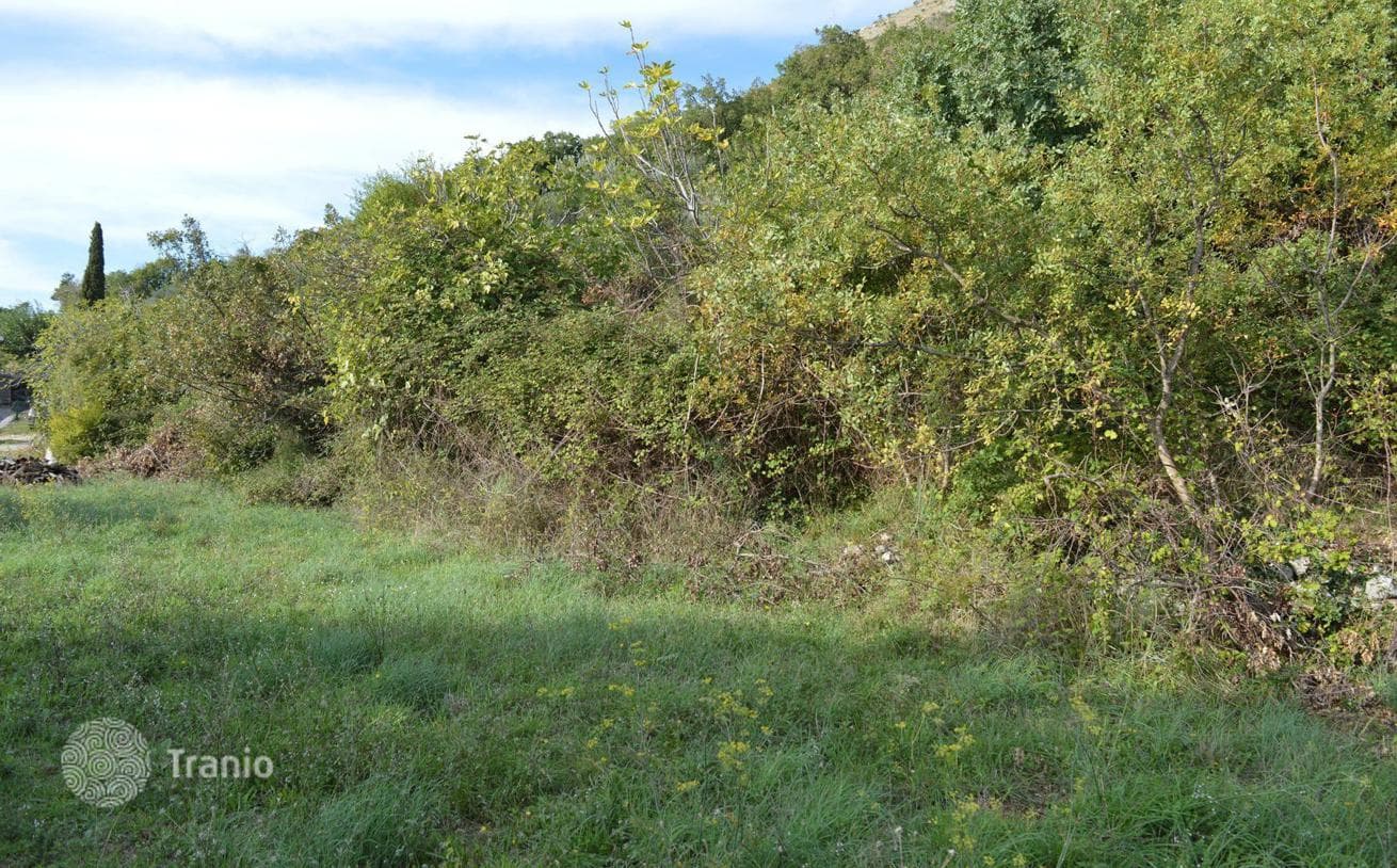 Land Plot with Sea View in Rezevici, Budva, photo 5