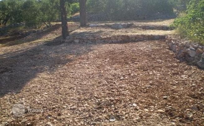 Beachfront Land Plot with Sea View in Hvar, Croatia, photo 2
