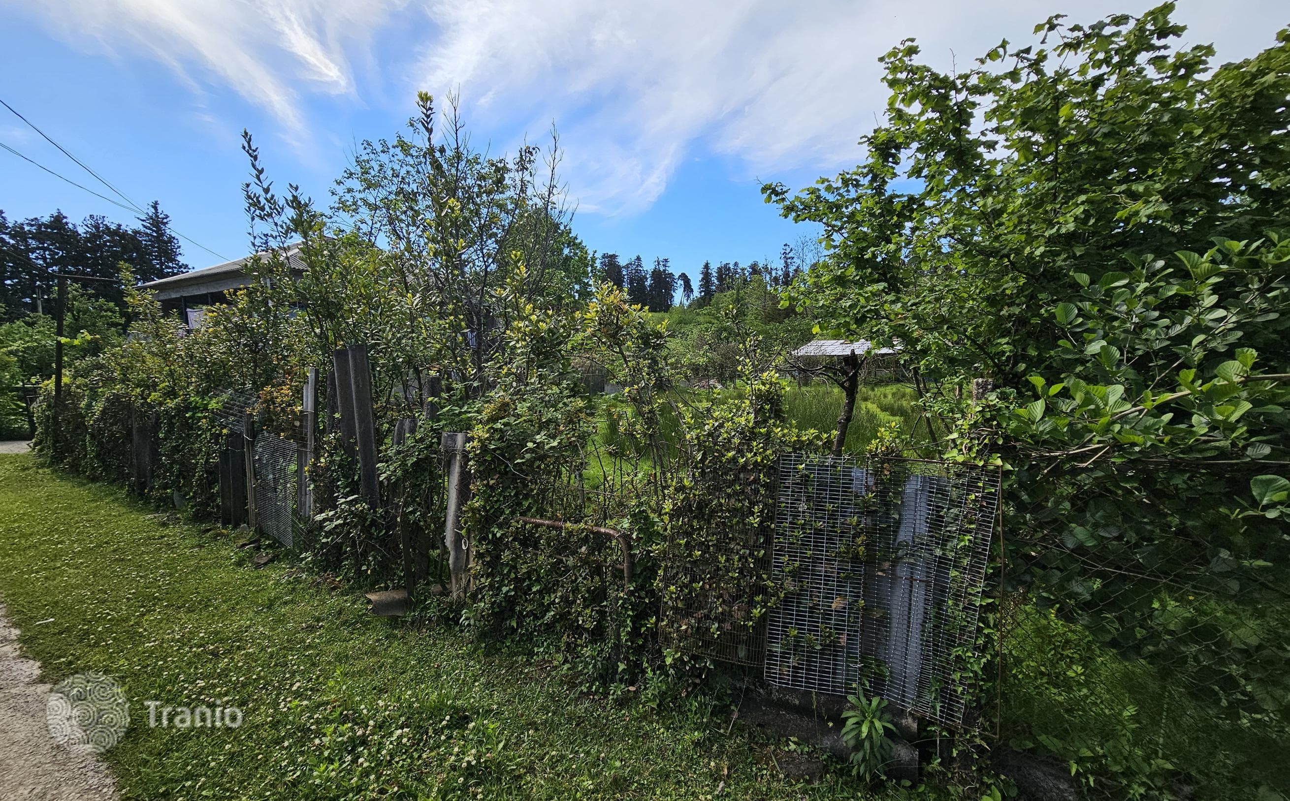 Non-Agricultural Land Plot with House Project in Chakvi, photo 3
