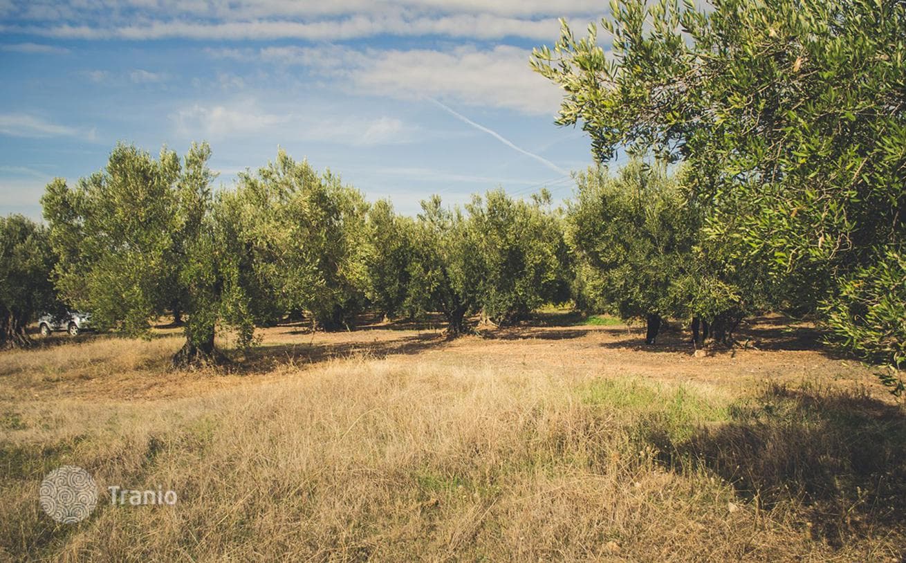 Land Plot in Kassandra, Halkidiki