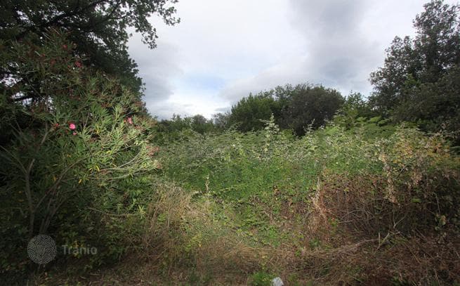 Land Plot 50 m from the Sea in Tivat, Montenegro, photo 5