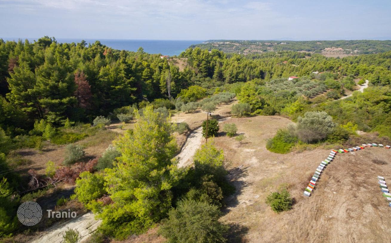 Land Plot with Panoramic Sea and Mountain Views in Kassandra, Greece, photo 4