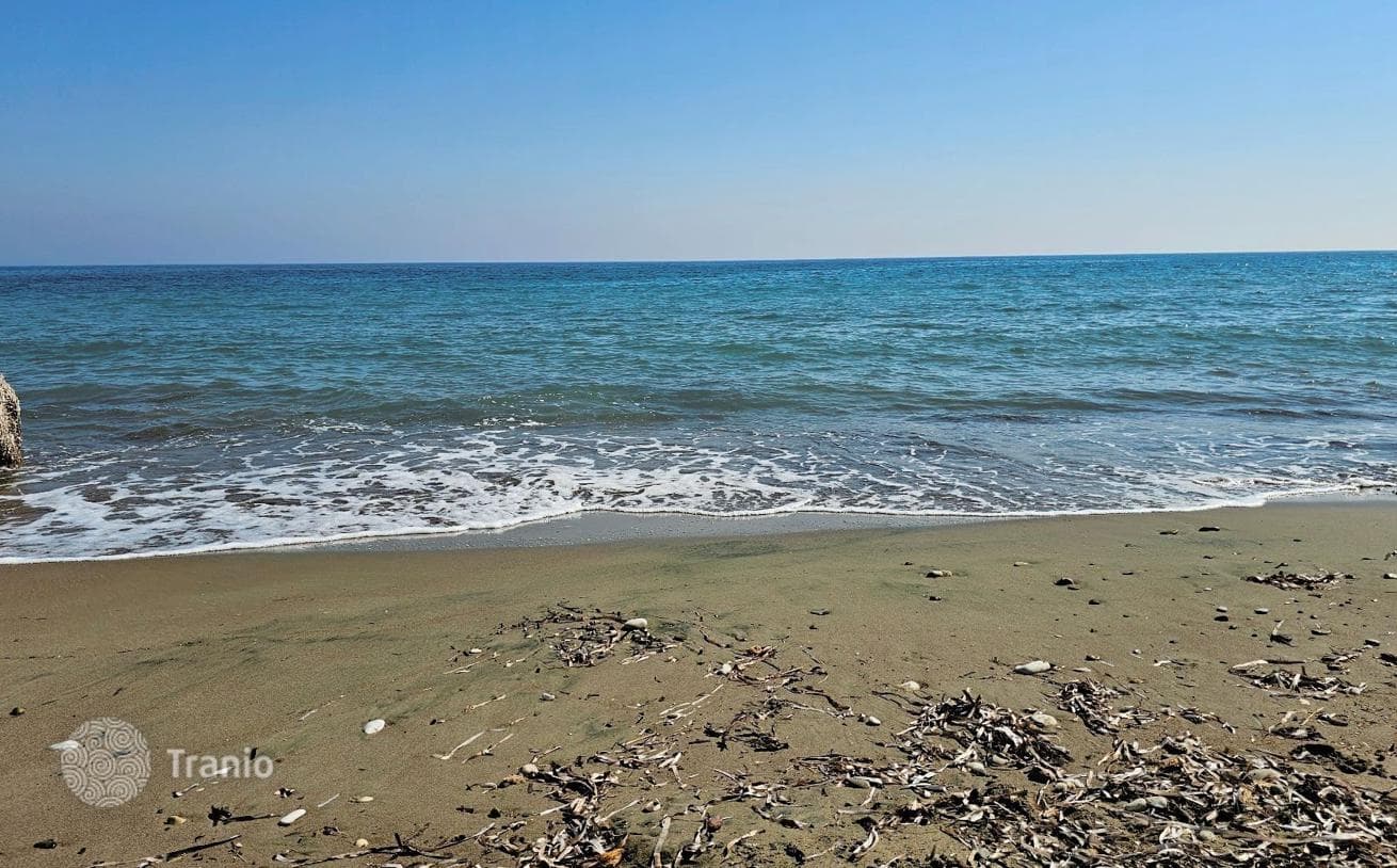 Land Plot in Timi, Cyprus, photo 2