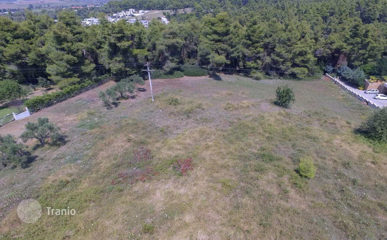 7,000 m² Land Plot in Kassandra, Greece
