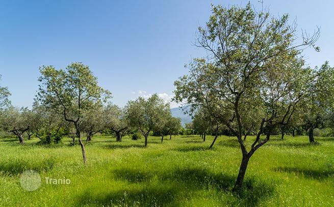 600 m² Estate in Florence, Italy, photo 5