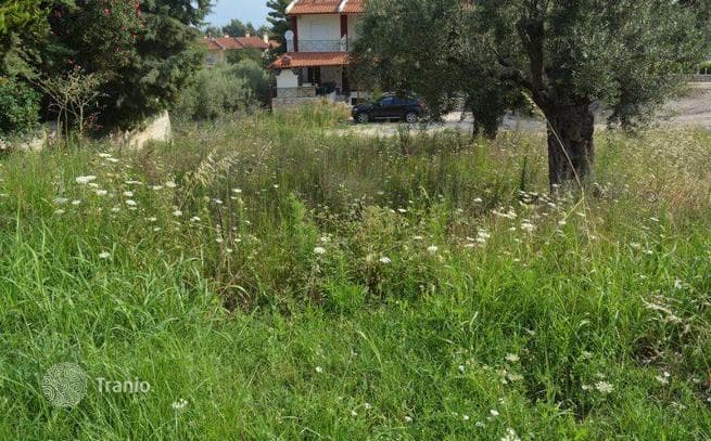 Land Plot with Sea and Mountain Views in Kriopigi, Halkidiki, photo 5