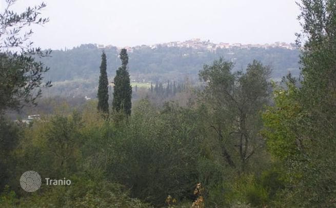 12-Hectare Olive Grove Land Plot in Agii Duli, Corfu, photo 5