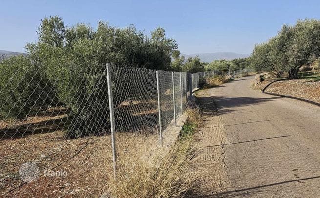 Land Plot in Sissi, Crete, photo 3