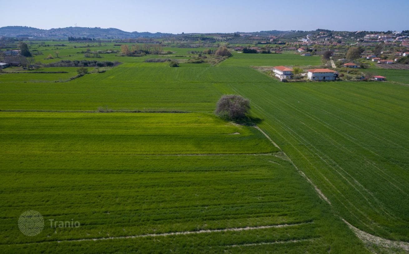 Large Land Plot with Panoramic Views Near the Beach in Kassandra, Greece, photo 5