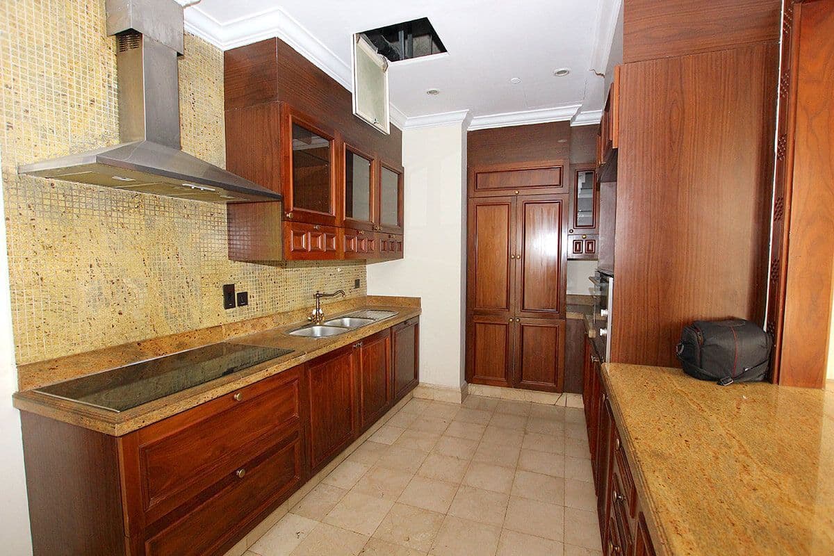 Penthouse in Downtown Dubai, photo 4