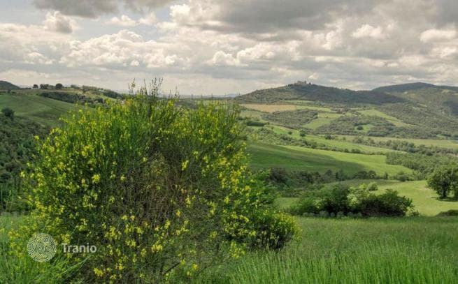 5-Bedroom Villa in Siena, Italy, photo 2