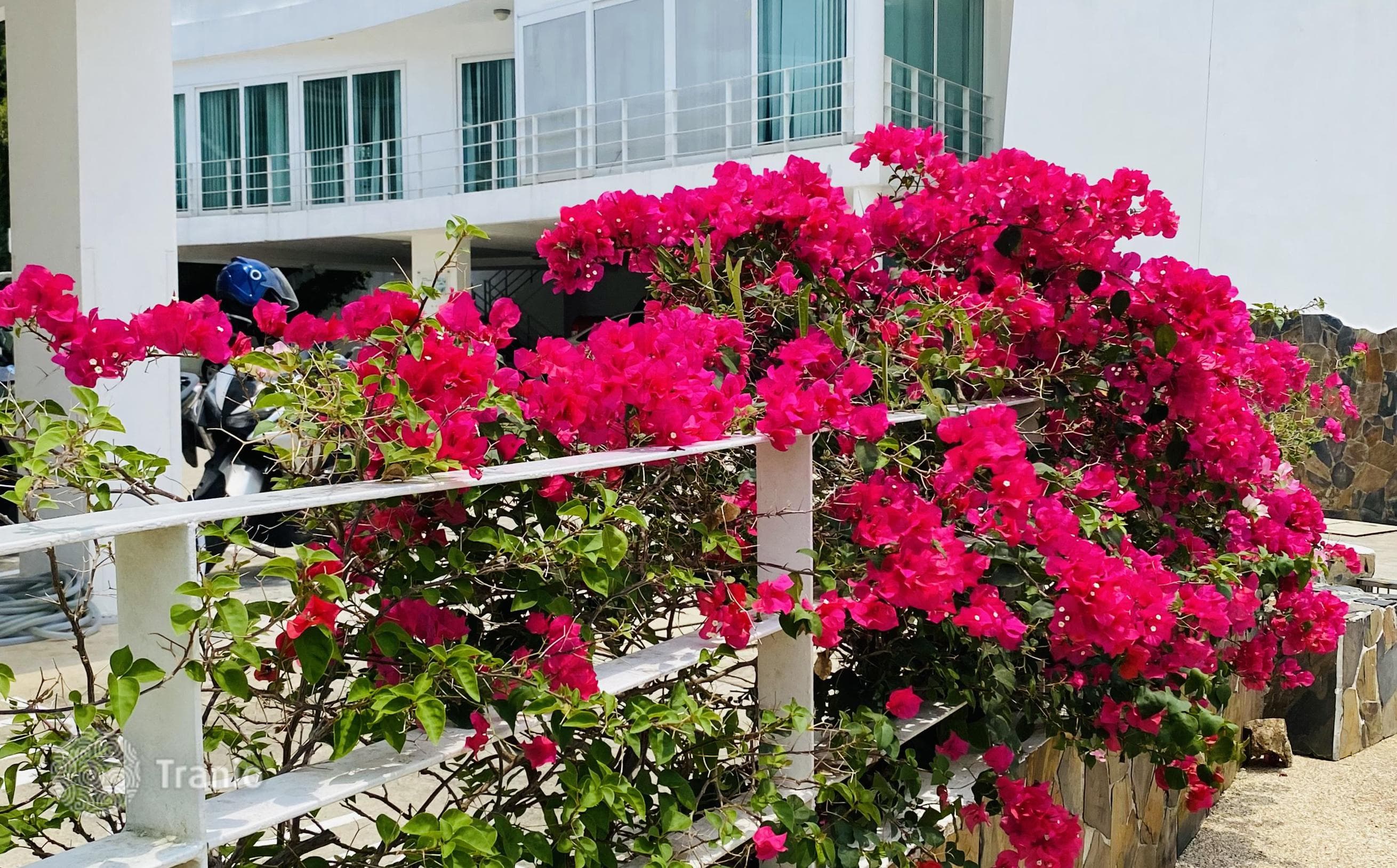 Condo with Sea View and Terrace near Kata Beach, Phuket, photo 2