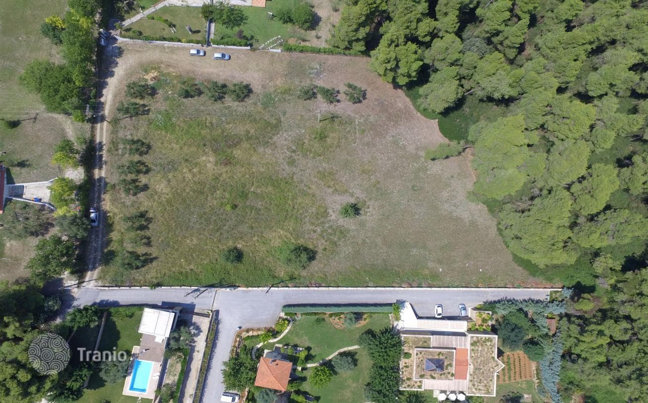 7,000 m² Land Plot in Kassandra, Greece, photo 4