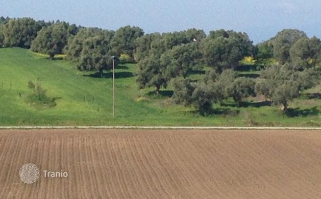 Land Plot with Sea View in Kassandra, Greece