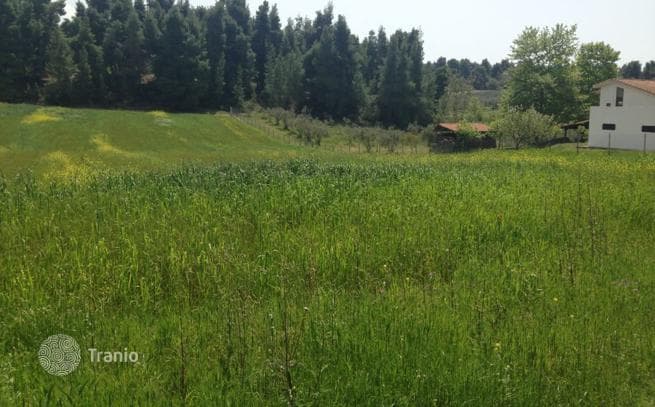 Land Plot with Mountain Views in Kassandra, photo 5