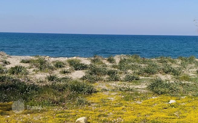 Beachfront Land Plot in Platanyas, Crete, photo 2