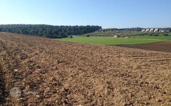 Land Plot with Sea View in Kassandra, Greece, photo 5