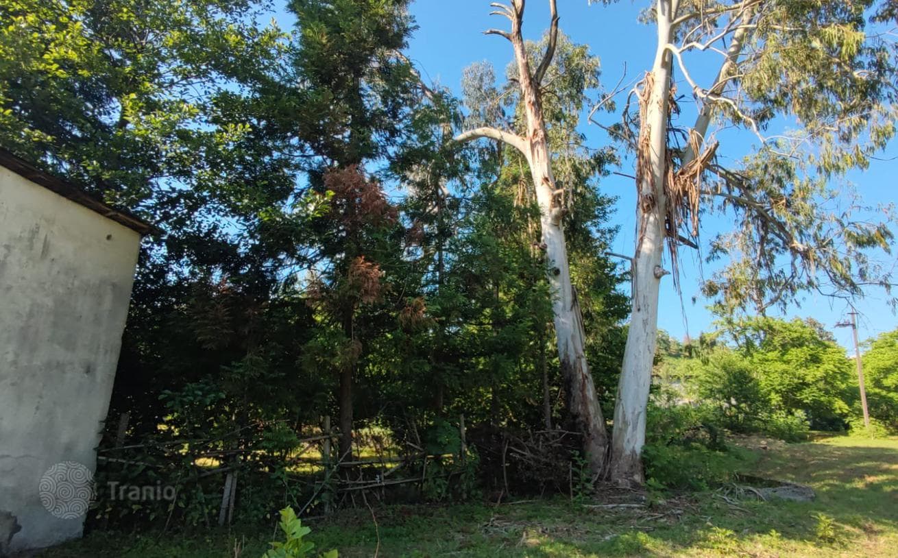 Land Plot near River in Chakvi, photo 4