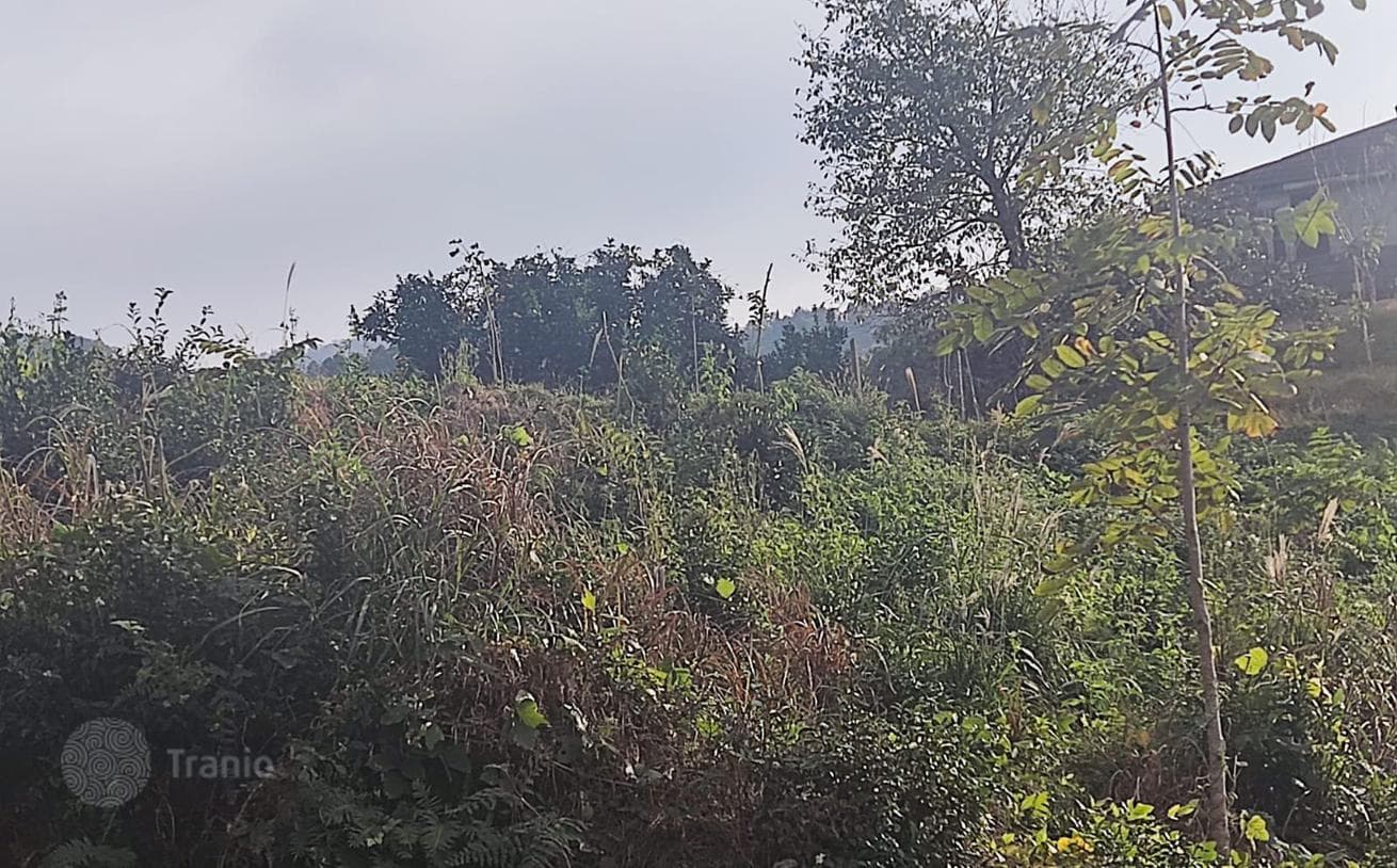 Land Plot with Sea and Mountain Views near Batumi, Chakvi, photo 4