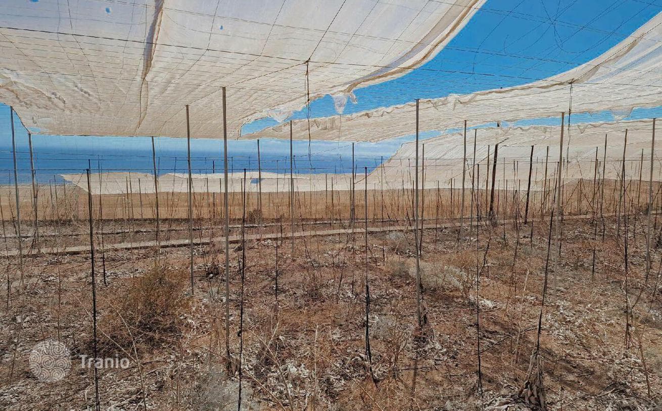 27,000 m² Land Plot with Greenhouses in Guia de Isora, Tenerife