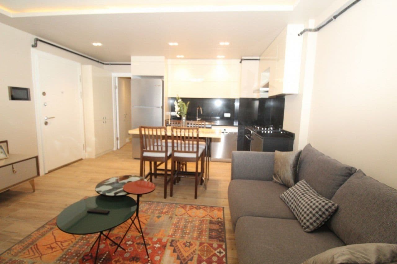 4-Bedroom Apartment in Beyoglu, Istanbul, photo 4
