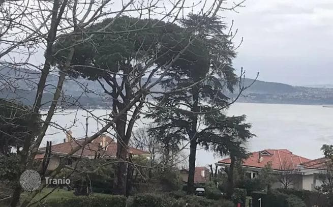 4-Bedroom Villa in Sariyer, Istanbul, photo 4