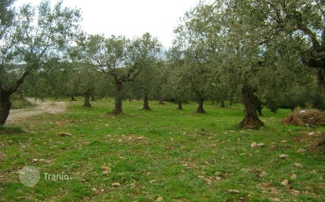 Land Plot with Sea Views 600 m from the Beach in Sitonia, Greece, photo 2