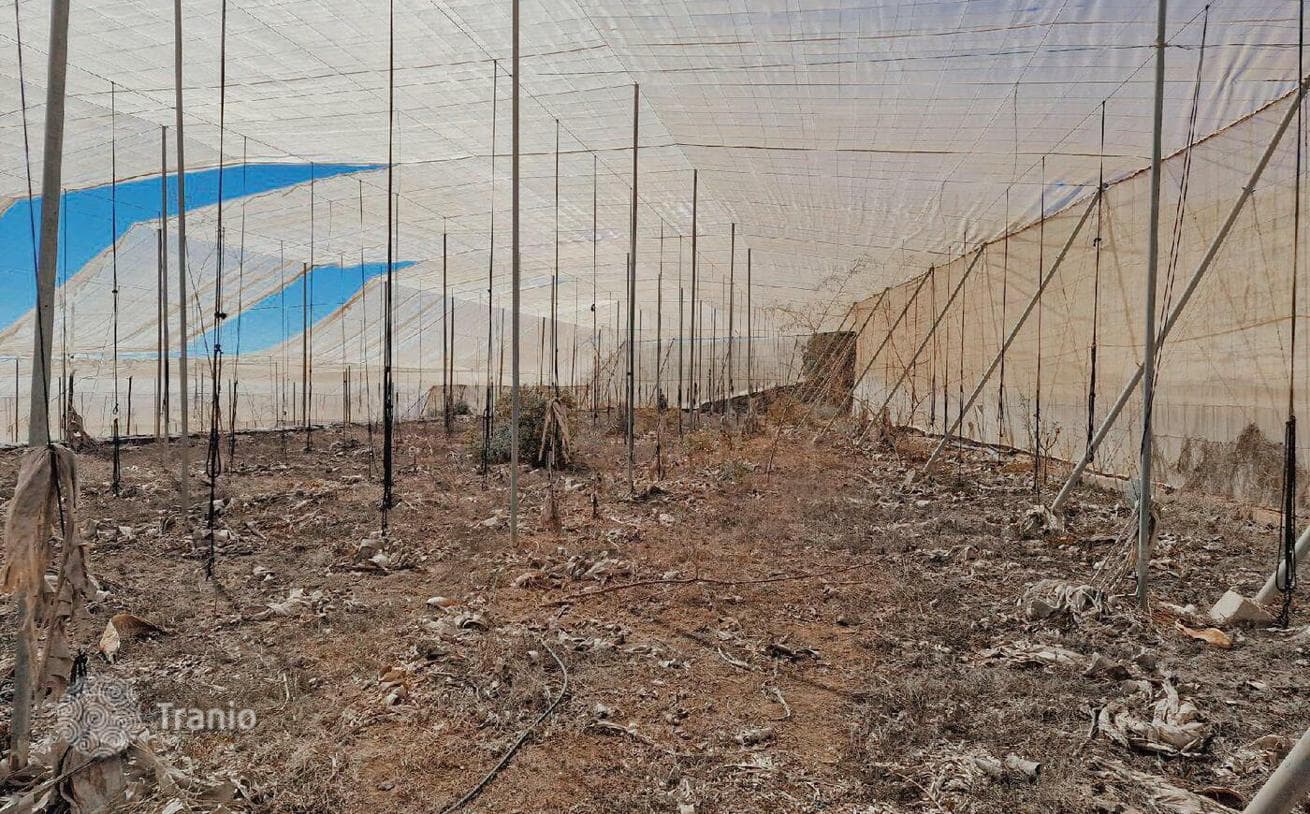 27,000 m² Land Plot with Greenhouses in Guia de Isora, Tenerife, photo 4