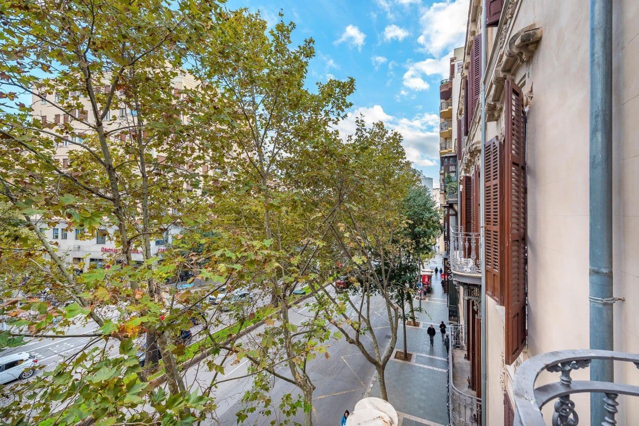 5-Bedroom Apartment in Palma de Mallorca, photo 3