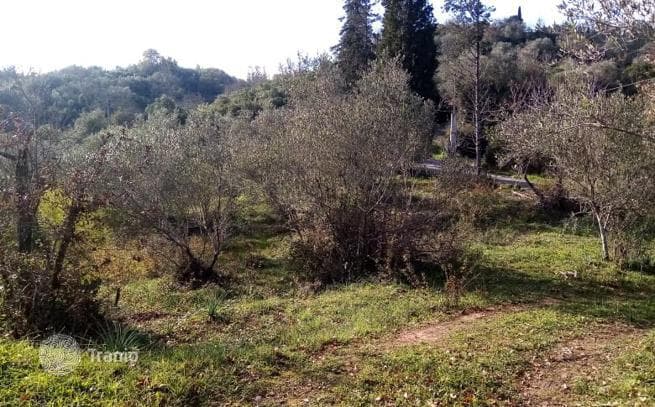 Land Plot in Varipatades, Corfu, photo 2