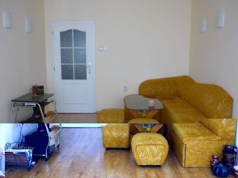 1-Bedroom Apartment in Sredets, photo 4
