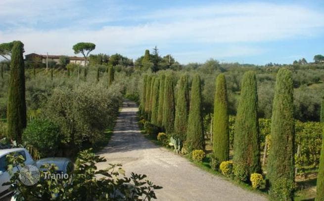 8-Bedroom Villa in Lucca, Italy, photo 5
