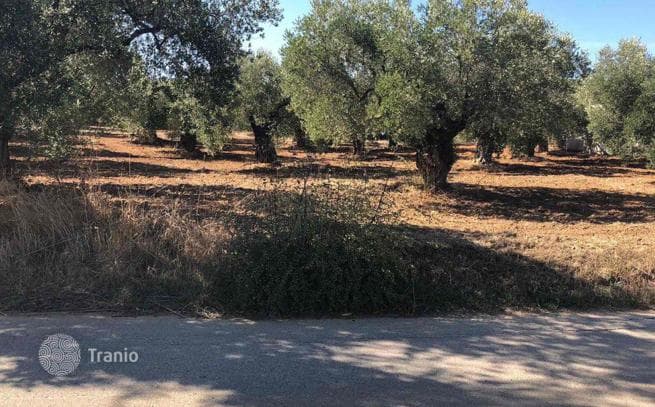 2,000 m² Land Plot with Mountain View in Kassandra, Greece