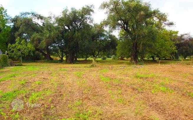5,800 m² Land Plot in Roda, Corfu