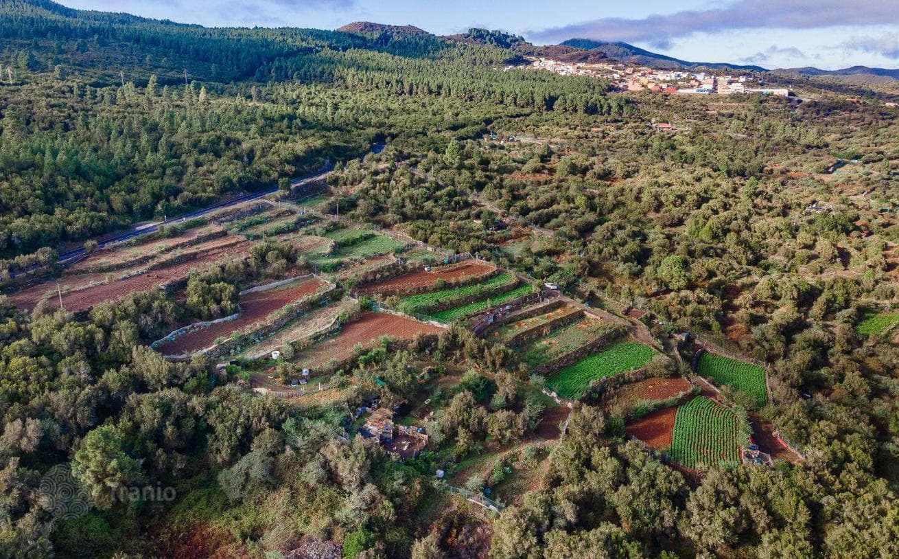 Land Plot with Fruit Orchard on Tenerife, Spain, photo 2