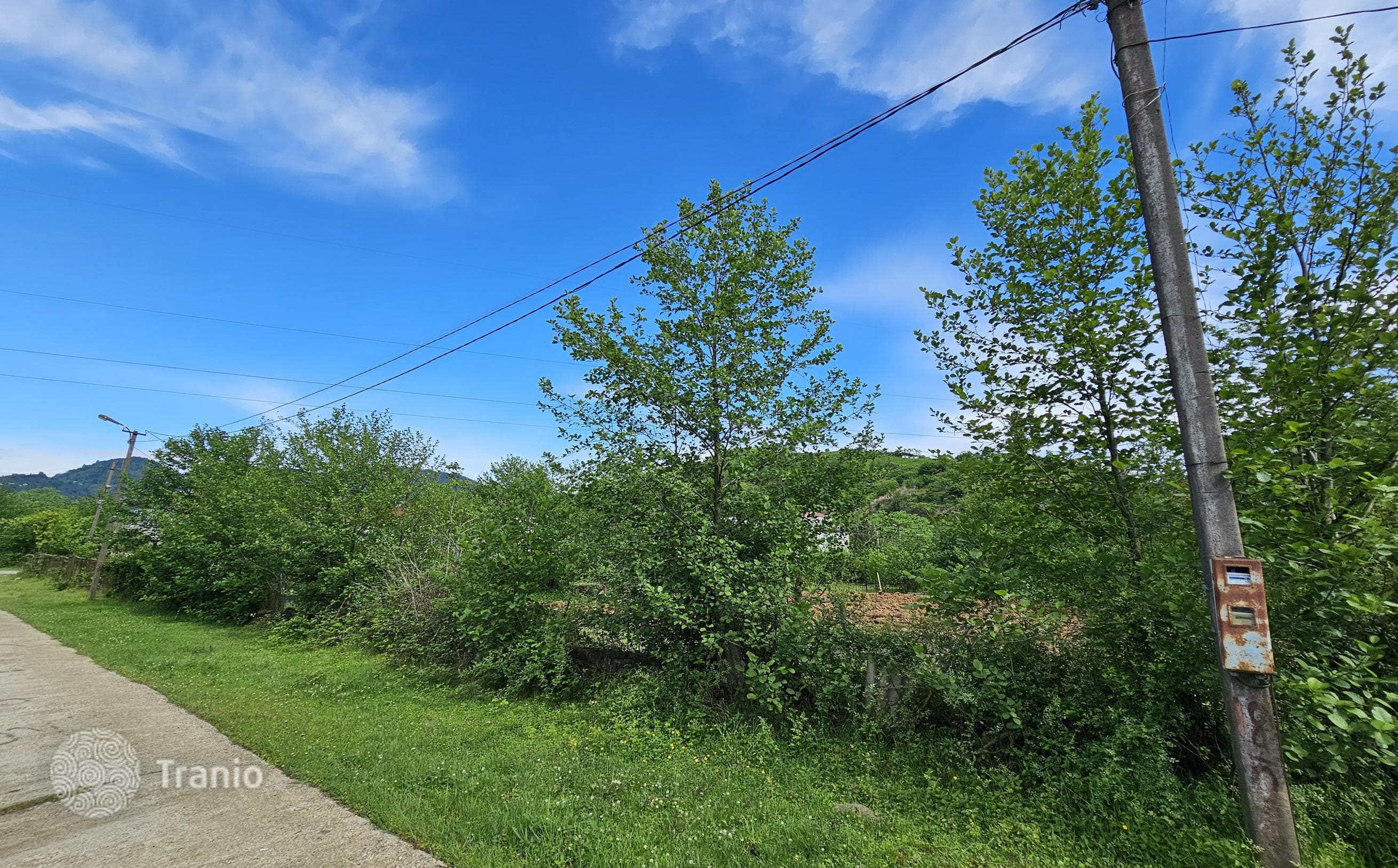 Non-Agricultural Land Plot with House Project in Chakvi, photo 5