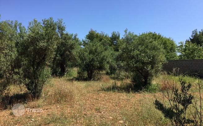 Land Plot in Ormylia, Greece, photo 4