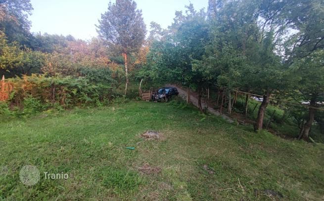 Land with Panoramic Sea and Mountain Views in Chakvi, Batumi, photo 5