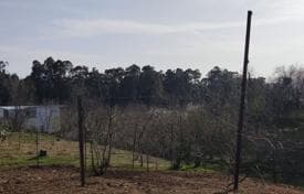 Land Plot with Mountain View in Chakvi, photo 5