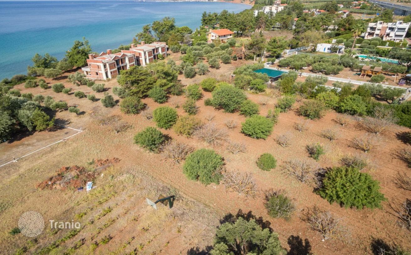 Land Plot with Sea and Mountain Views in Kassandra, Greece, photo 2