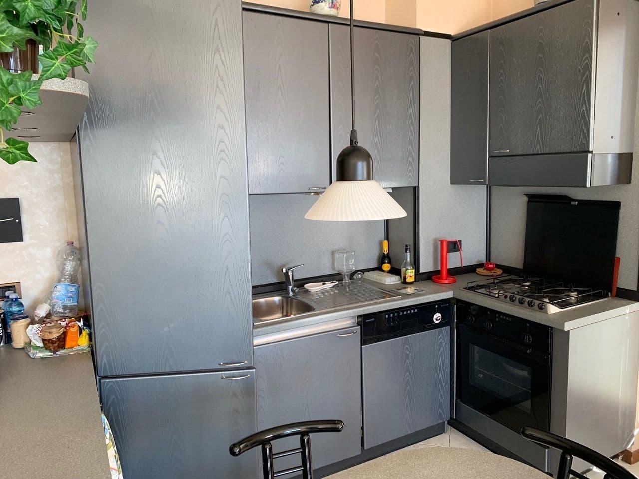 1-Bedroom Apartment in Ospedaletti, photo 5