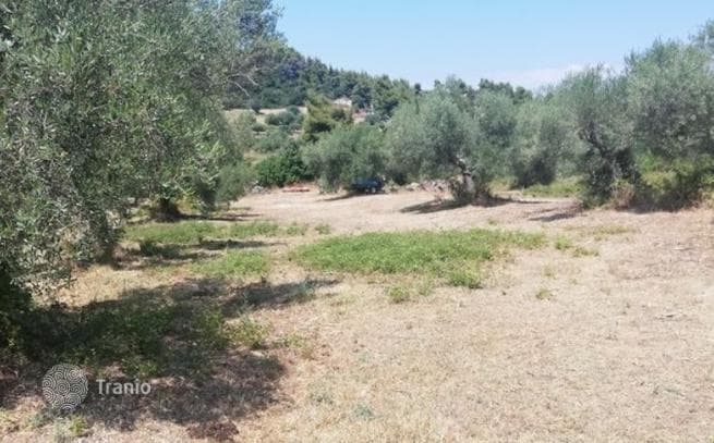 Land Plot with Sea and Mountain Views in Kassandra, Greece, photo 3